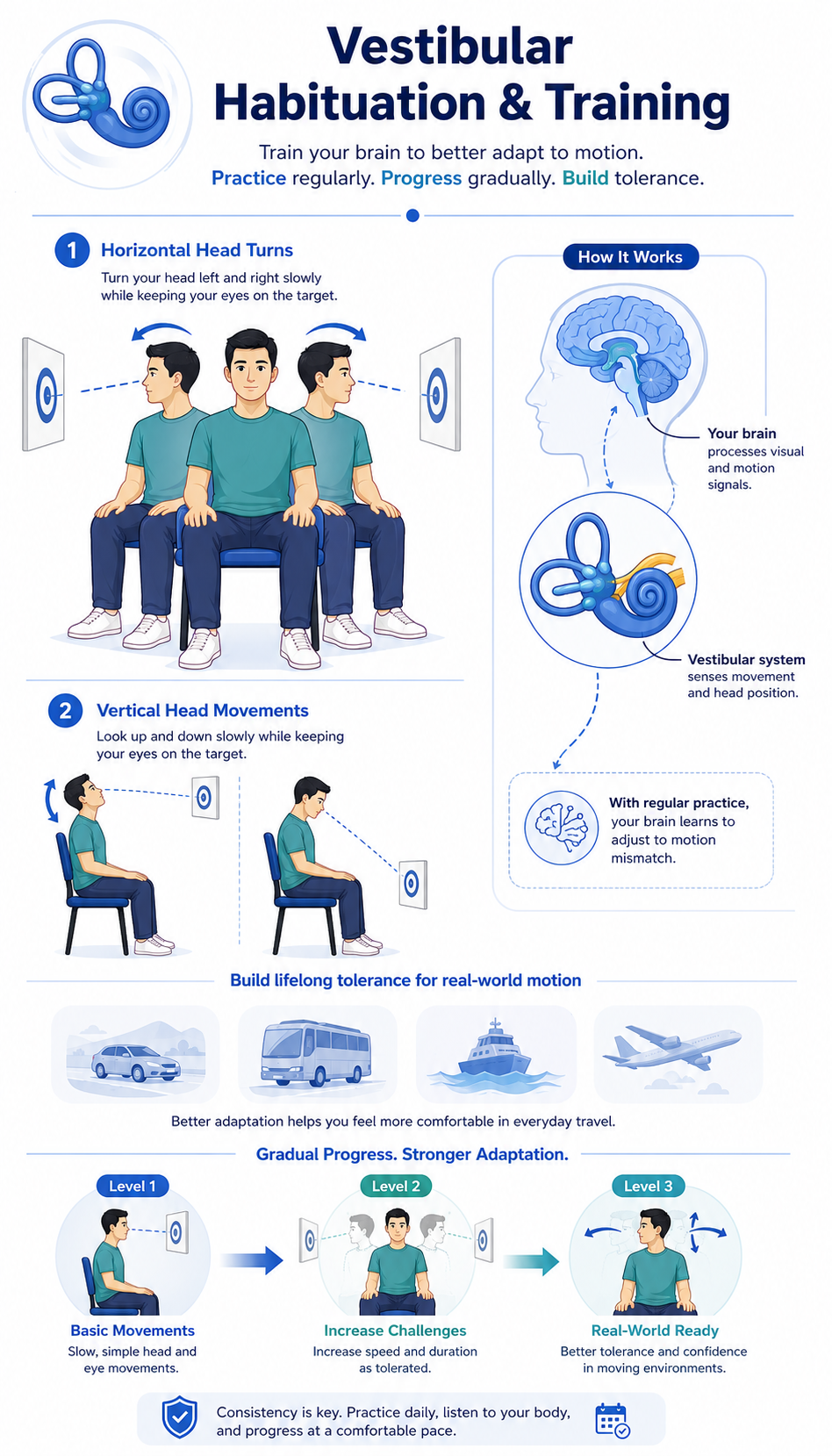 Vestibular habituation visual guidelines